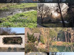-杭州植物园