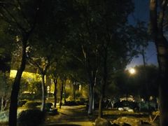 -光明港公园
