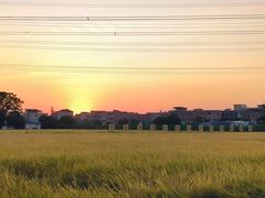 -低涌(地铁站)
