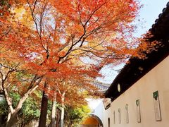 -西园戒幢律寺