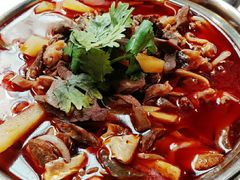 红汤羊杂-蒙料·手把肉(望京店)