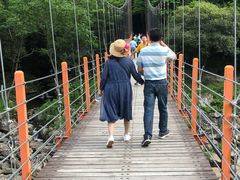 -燕子河大峡谷天坑仙境