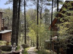 -洛阳白云山景区