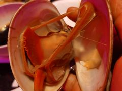 -萧邦音乐会所KTV·蒸汽活海鲜自助(福田店)