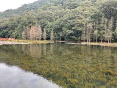 -广州市石门国家森林公园