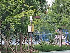 -回龙观体育文化公园