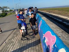 -南汇嘴观海公园