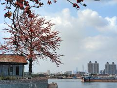 -喜洲吧·江畔老船厂·庭院餐厅(喜临院店)