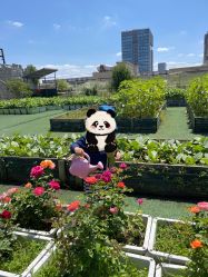 -可可天空农场(东部新城银泰店)