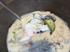-鲜潭蒸汽石锅鱼(五道口购物中心店)