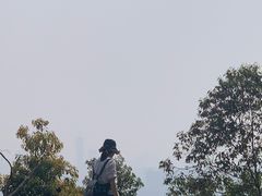 -火炉山森林公园