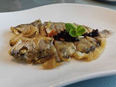 -一麦·龙岛(上海青浦店)