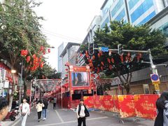 -越秀西湖花市(广州城市广场花卉店)