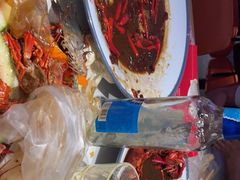 -杨氏青龙虾·羊蝎子(托乐嘉店)
