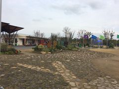 -上海长兴岛郊野公园