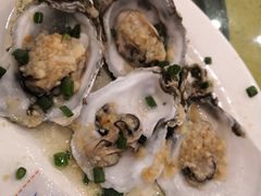 -鸿达渔港