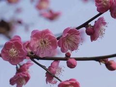 -重庆彩云湖湿地公园