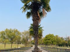 -白塘生态植物园