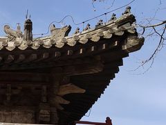 -嵩祝寺及智珠寺