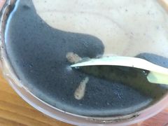 手磨芝麻糊-芝麻糊世家(西华店)