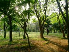 -樱桃沟景区