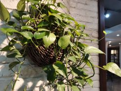 -MAGSTUDIO美格造型