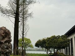 -杭州西湖柳莺里酒店·闻莺厅