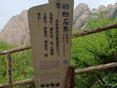 -嵖岈山风景区