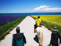 -青海湖国家重点风景名胜区