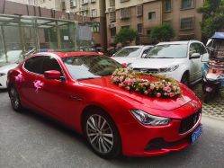 -蚂蚁婚车