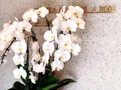 -三间愈舍·Triple Spa(重庆IFS国金中心店)