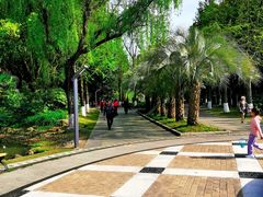 -苏州河梦清园环保主题公园