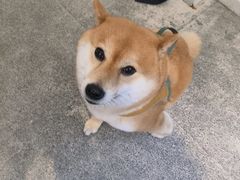 -三目仓咖啡(贤南路店)