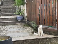 -她说户外烧烤团建(西湖店)