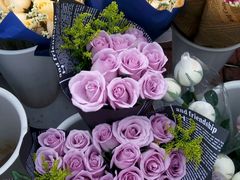 -三圣花乡旅游区