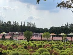 -嘉北郊野公园
