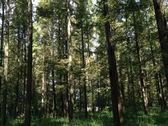 iphone_upload_pic-上海怡沁园度假酒店