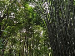 -成都杜甫草堂博物馆