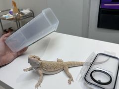 -立德异宠动物医院.兔鸟爬.内窥镜(天河店)