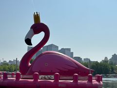 -莲花池公园