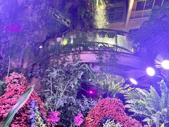 -正佳雨林生态植物园