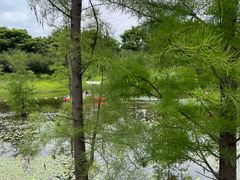 -同里国家湿地公园