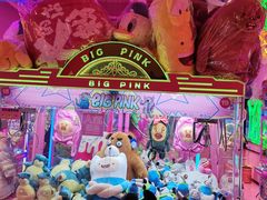 -BIG PINK大粉娃娃机主题馆(圆融星座店)