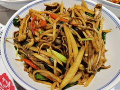 -壹盏灯(惠农店)