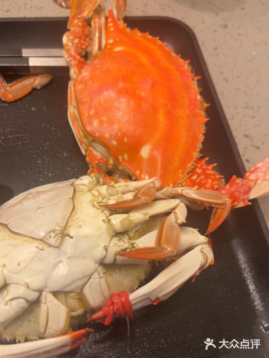 乔哥铭洋海鲜自助(皇城恒隆广场店)图片