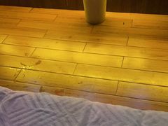 -江南足纪·影院足道·轻奢SPA(笋岗HALO广场店)