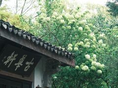 -惠山古镇·寄畅园