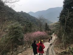 -北仑森林植物园
