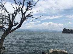 -才村湿地公园