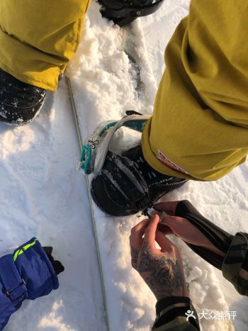 图便宜试营业29.9果然太失望